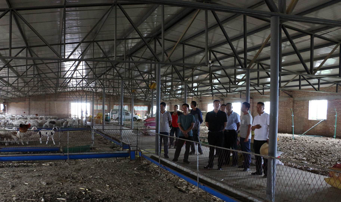 同大助力脱贫攻坚奔小康系列报道(三十五)：冯锋校长赴帮扶村调研指导脱贫攻坚工作